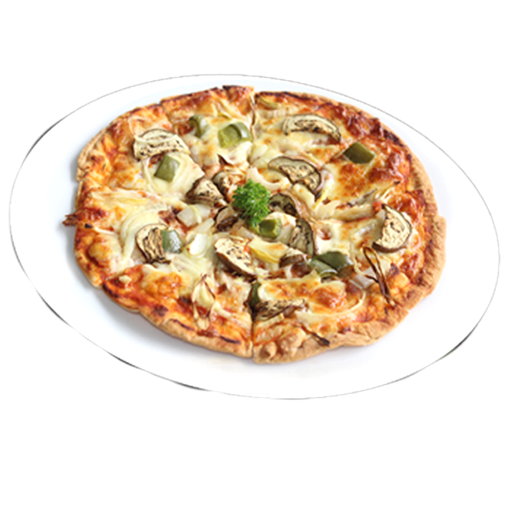 VEGETABLE PIZZA<br>蔬菜披萨